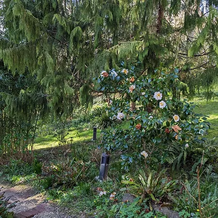 Eliane - Parking Prive Πανσιόν 4*