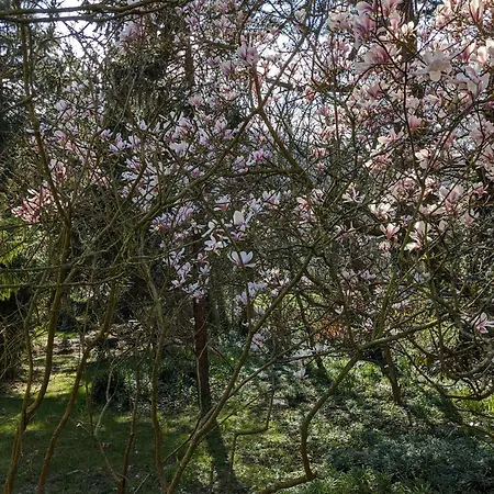 ゲストハウス Eliane - Parking Prive エトルタ