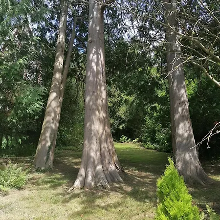 Eliane - Parking Prive Pensjonat Étretat