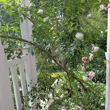 ゲストハウス Eliane - Parking Prive