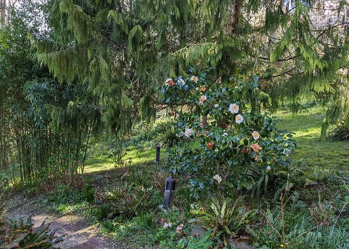 Eliane - Parking Prive 招待所 4*