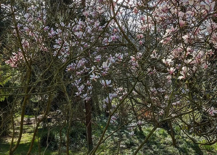 招待所 Eliane - Parking Prive 埃特勒塔