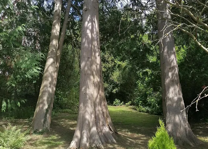 Eliane - Parking Prive Guest house Etretat