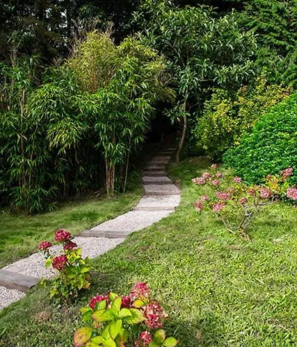 Eliane - Parking Prive 4* 埃特勒塔